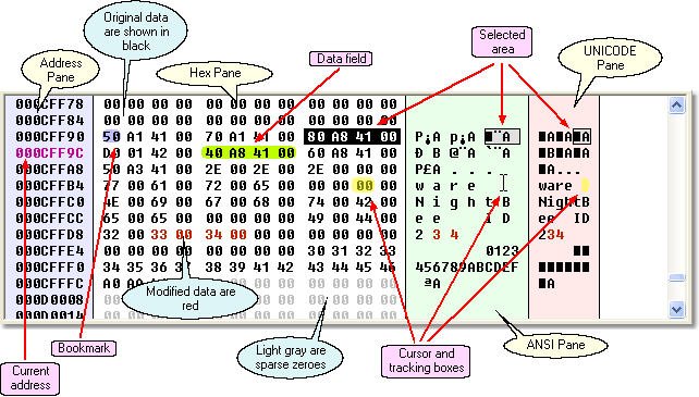 Hex Edit Window